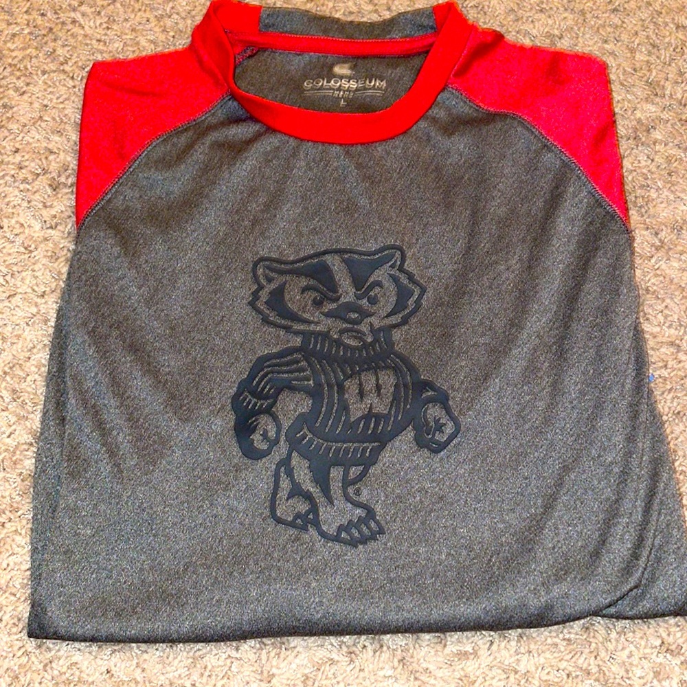 University of Wisconsin Badgers mens long sleeve shirt mens size Large